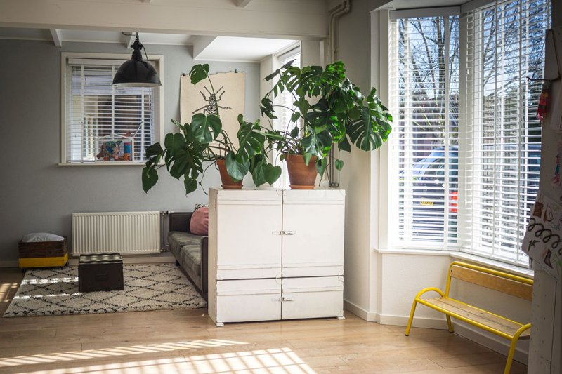 Are Exterior Shutters Out Of Style